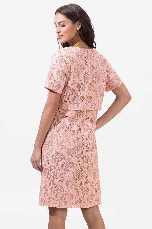 11075 Elegant, short sleeve lace blush dress. Midi Size 20.