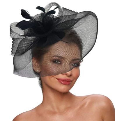 FAC900B Classic, black fascinator with central feathers and mesh.