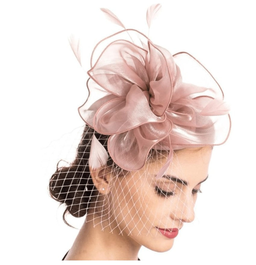 FAC1006BL Classic, blush organza fascinator with birdcage net.