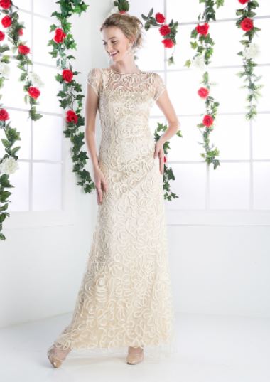 71310 - round neck small capped sleeve textured lace fit and flare. Size 22.