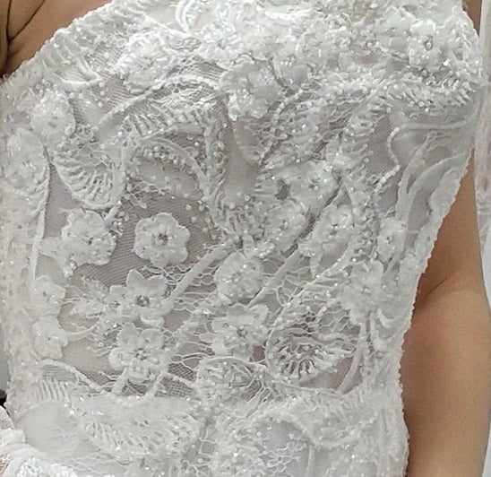 72101 Stunning beaded lace. Long train. Optional matching gloves