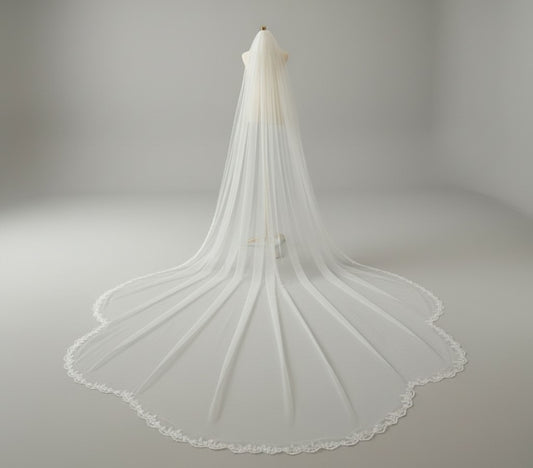 BBV123 Cathedral veil with beautiful  sparkle lace edge.