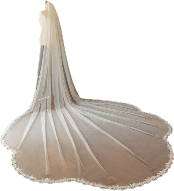 BBV123 Cathedral veil with beautiful  sparkle lace edge