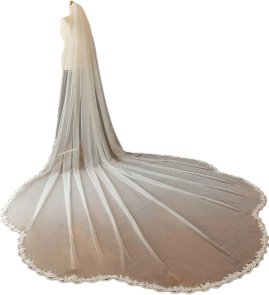 BBV123 Cathedral veil with beautiful  sparkle lace edge