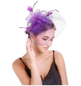 FAC1002P Classic, purple fascinator with birdcage net and feathers