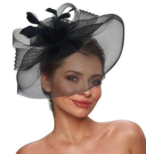 FAC900B  Classic, black fascinator with central feathers and mesh.