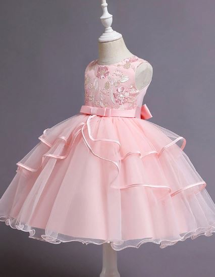 G20300. Pink tulle layered skirt. Detailed bodice.