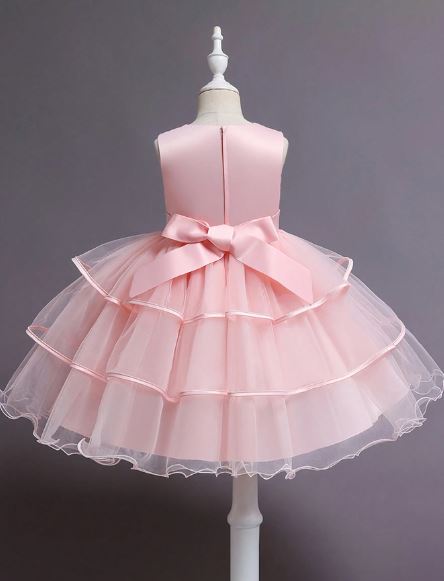 G20300. Pink tulle layered skirt. Detailed bodice.